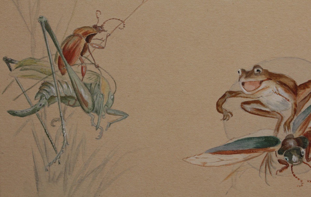 Humorous Study, Gouache Drawing 'frog And Insects' Signed And Dated 1920-photo-2