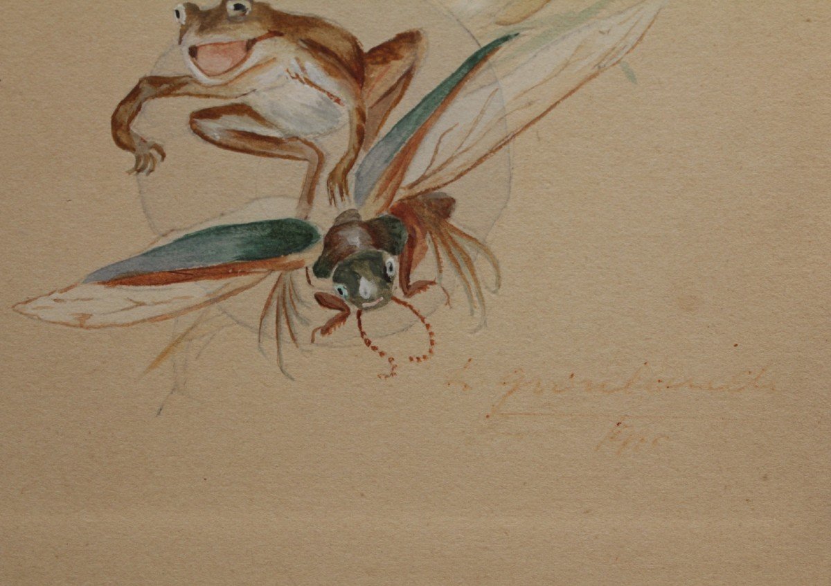 étude Humoristique, Dessin Gouaché 'grenouille Et Insectes' Signé Et Daté 1920-photo-3