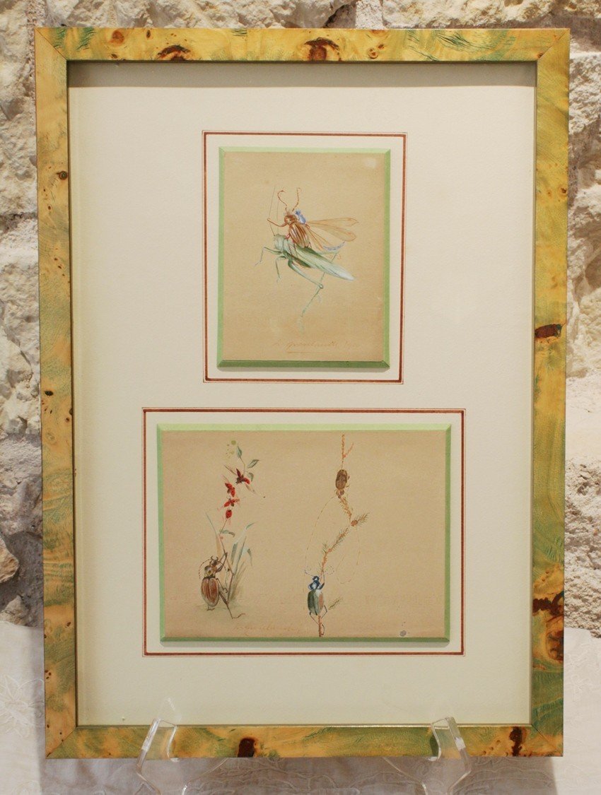 2 Humorous Studies Representing Insects Between 1910 And 1920-photo-2