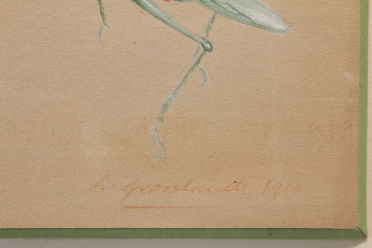2 études Humoristiques Représentant Des Insectes Entre 1910 Et 1920-photo-1