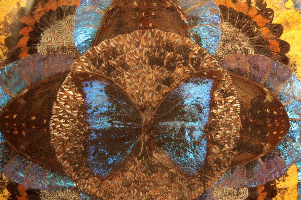 Wooden Serving Tray With Butterfly Wings, Brazil Circa 1930-photo-4