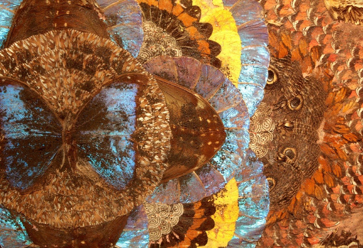 Wooden Serving Tray With Butterfly Wings, Brazil Circa 1930-photo-4