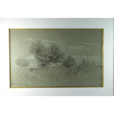 Dessin Au Crayon Noir Chemin Creux En Région De Fontainebleau Alexandre Véron (1826-1897)