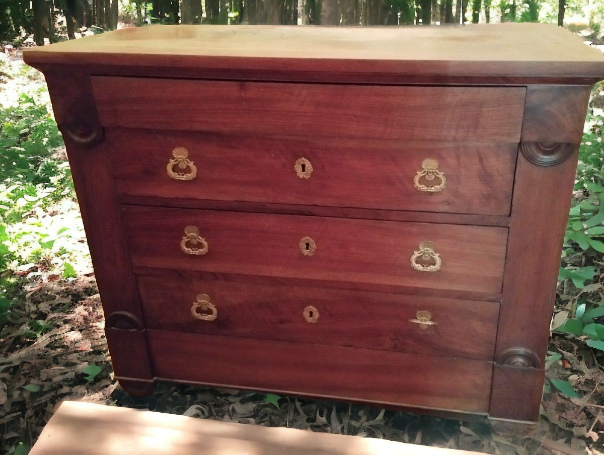 19th Restoration Commode