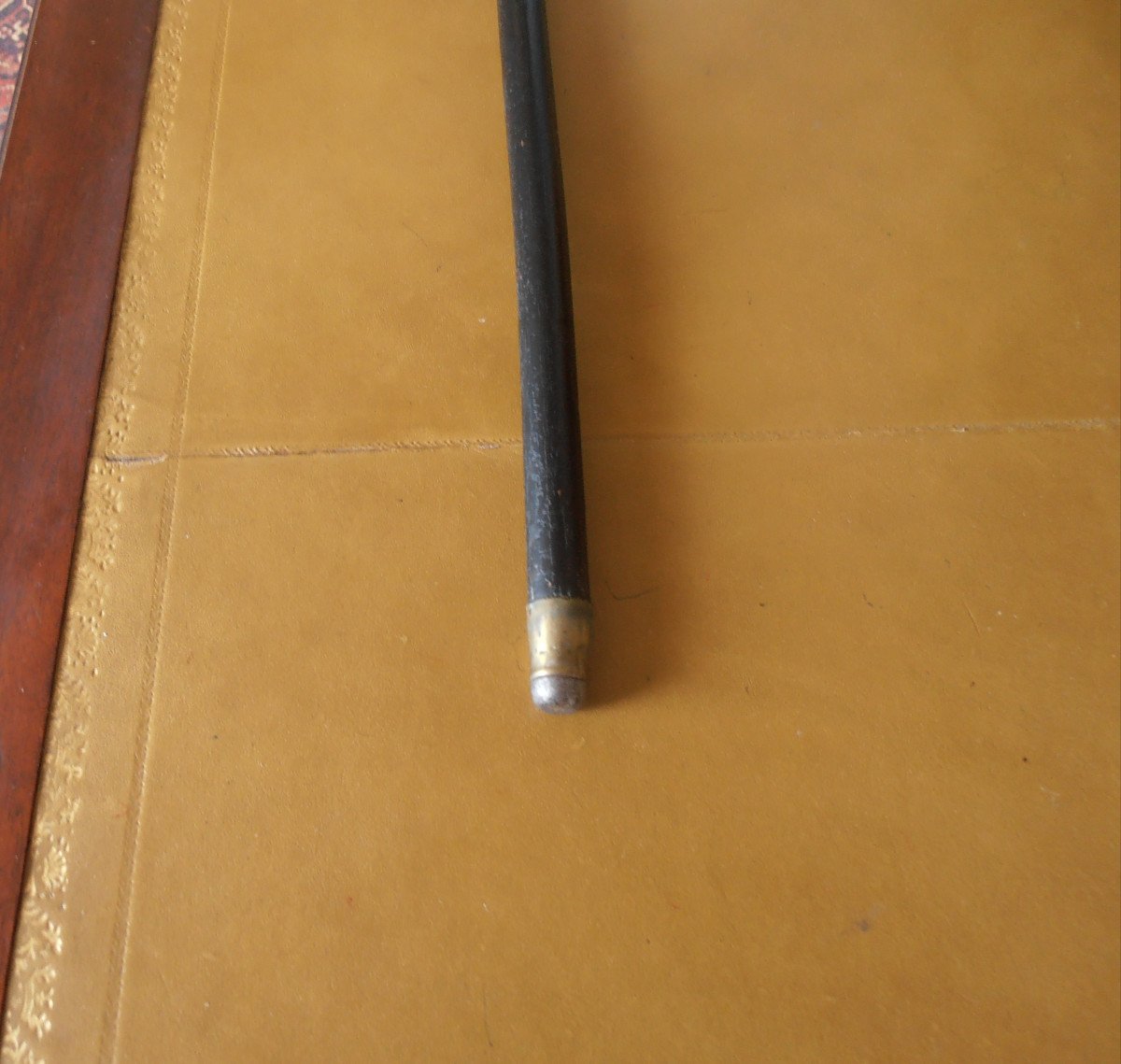 Cane Dated 1869-photo-3