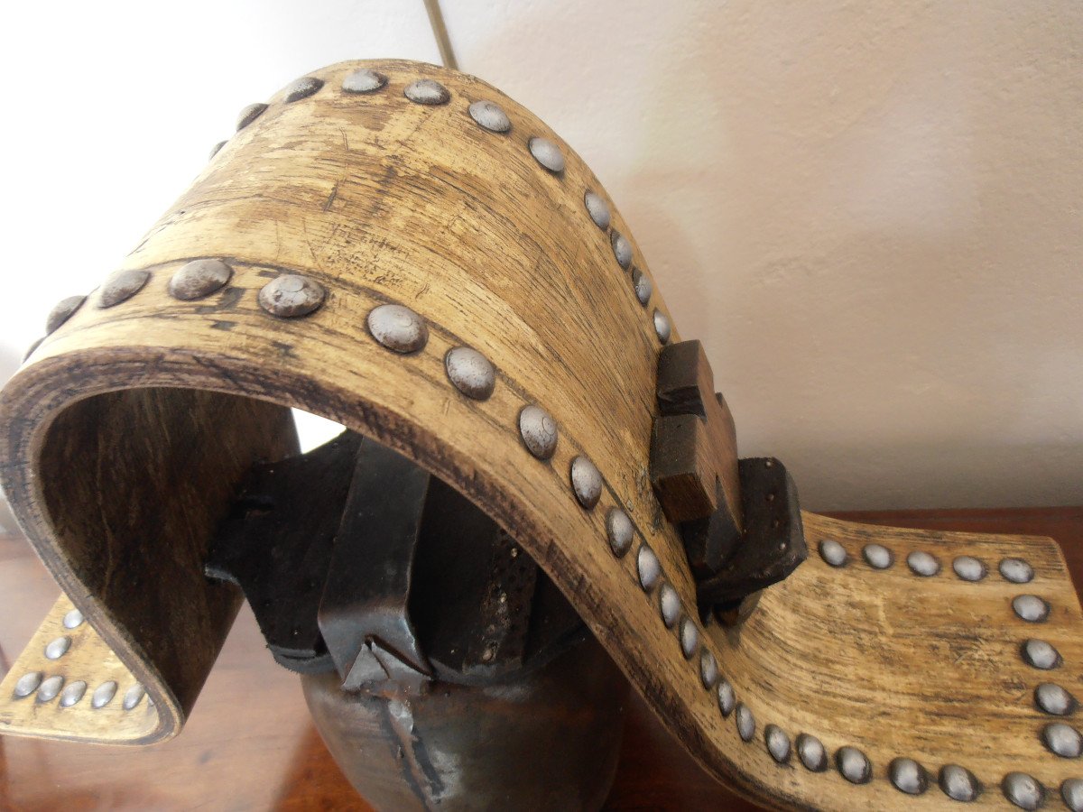 Cloche-photo-3