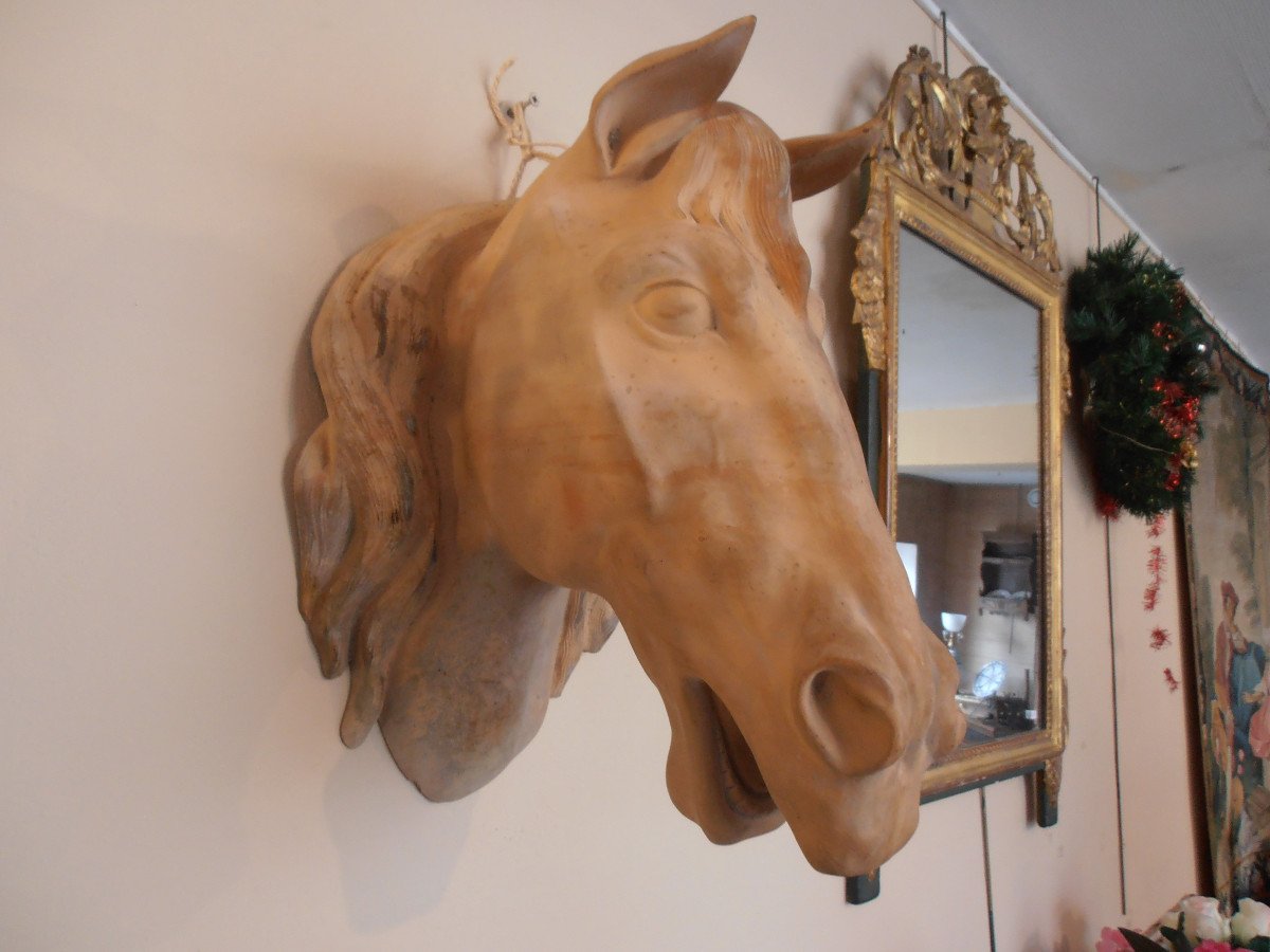 Terracotta Horse Head -photo-4