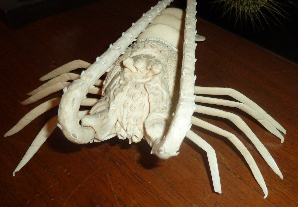 Carved Lobster-photo-4