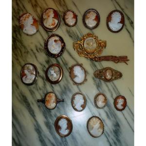 Cameo Jewelry Shells