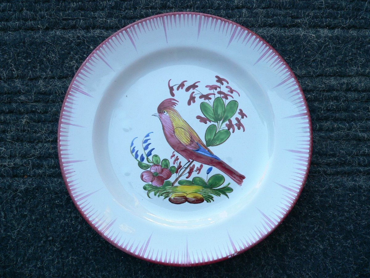 Plate In Earthenware Of Islettes XIXth Decor In Pinçon