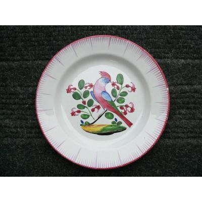 Nineteenth Islettes Earthenware Plate With A Parakeet Decor