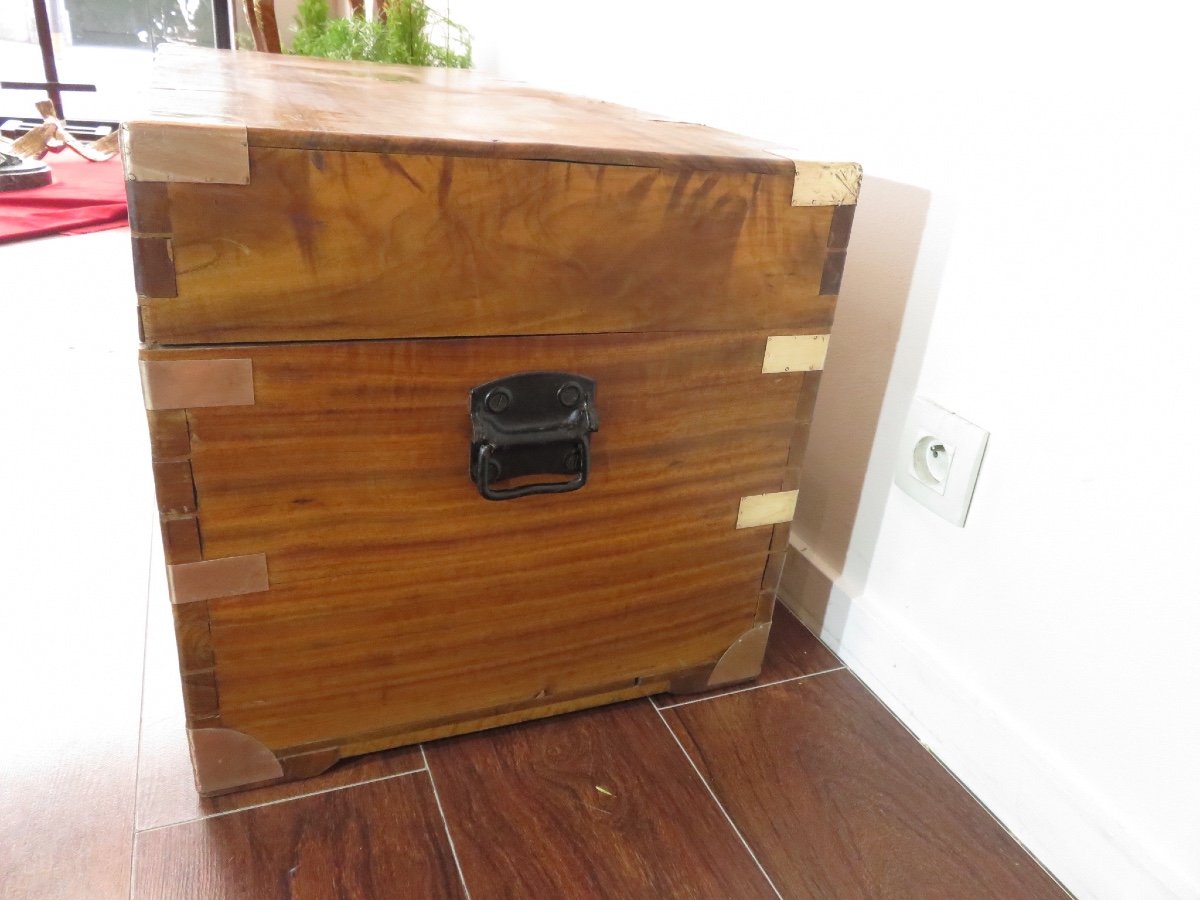 Marine Chest In Camphor, The Fittings Are In Brass, 19th Century-photo-4