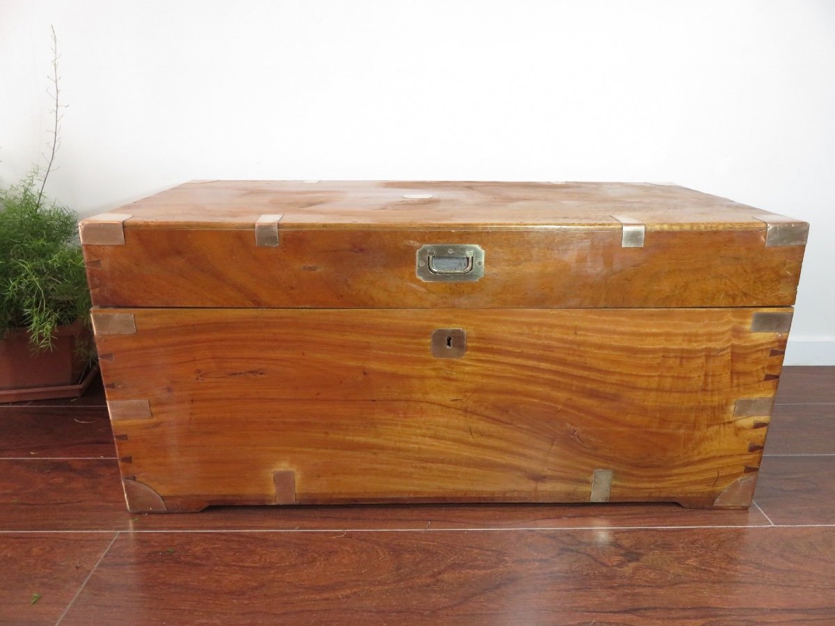 Marine Chest In Camphor, The Fittings Are In Brass, 19th Century-photo-8