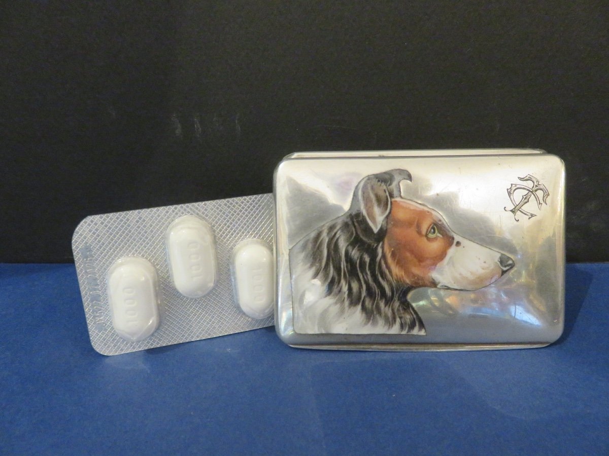 Box, Case, In Silver, Enamel Decoration Of Austrian Origin, In The Style Of Adam Schied -photo-5