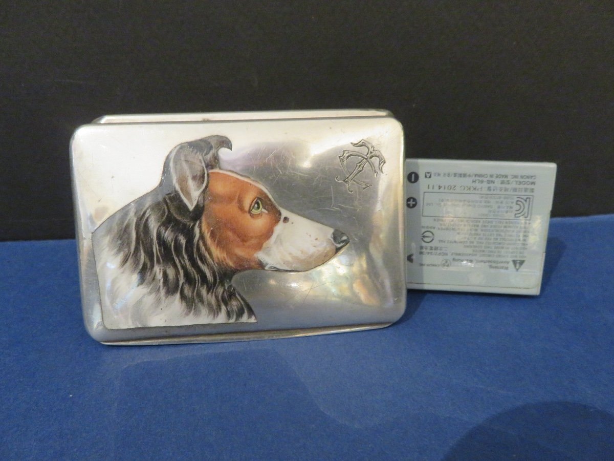 Box, Case, In Silver, Enamel Decoration Of Austrian Origin, In The Style Of Adam Schied -photo-6