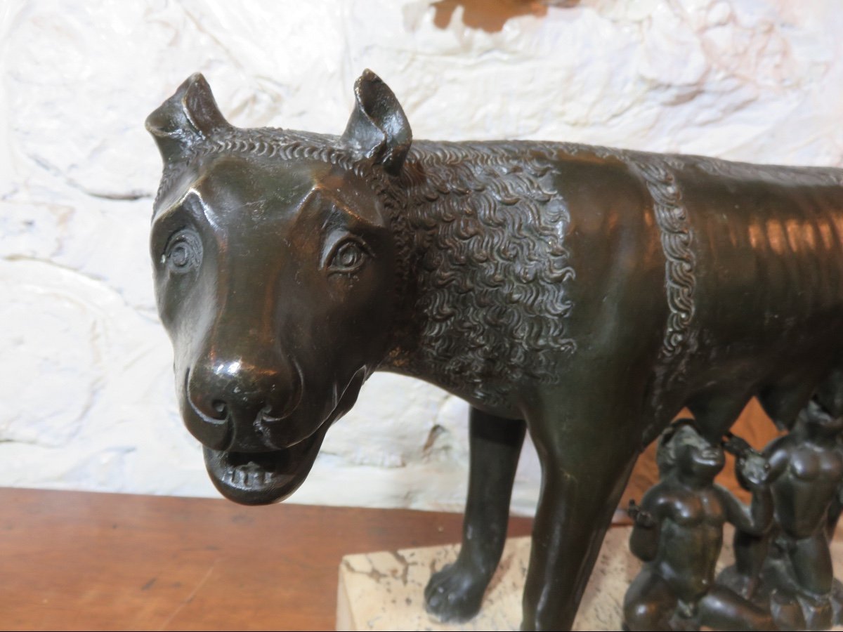 Animal Bronze After Antonio Pollaiuolo "the Capitoline Wolf" 20th Century-photo-2