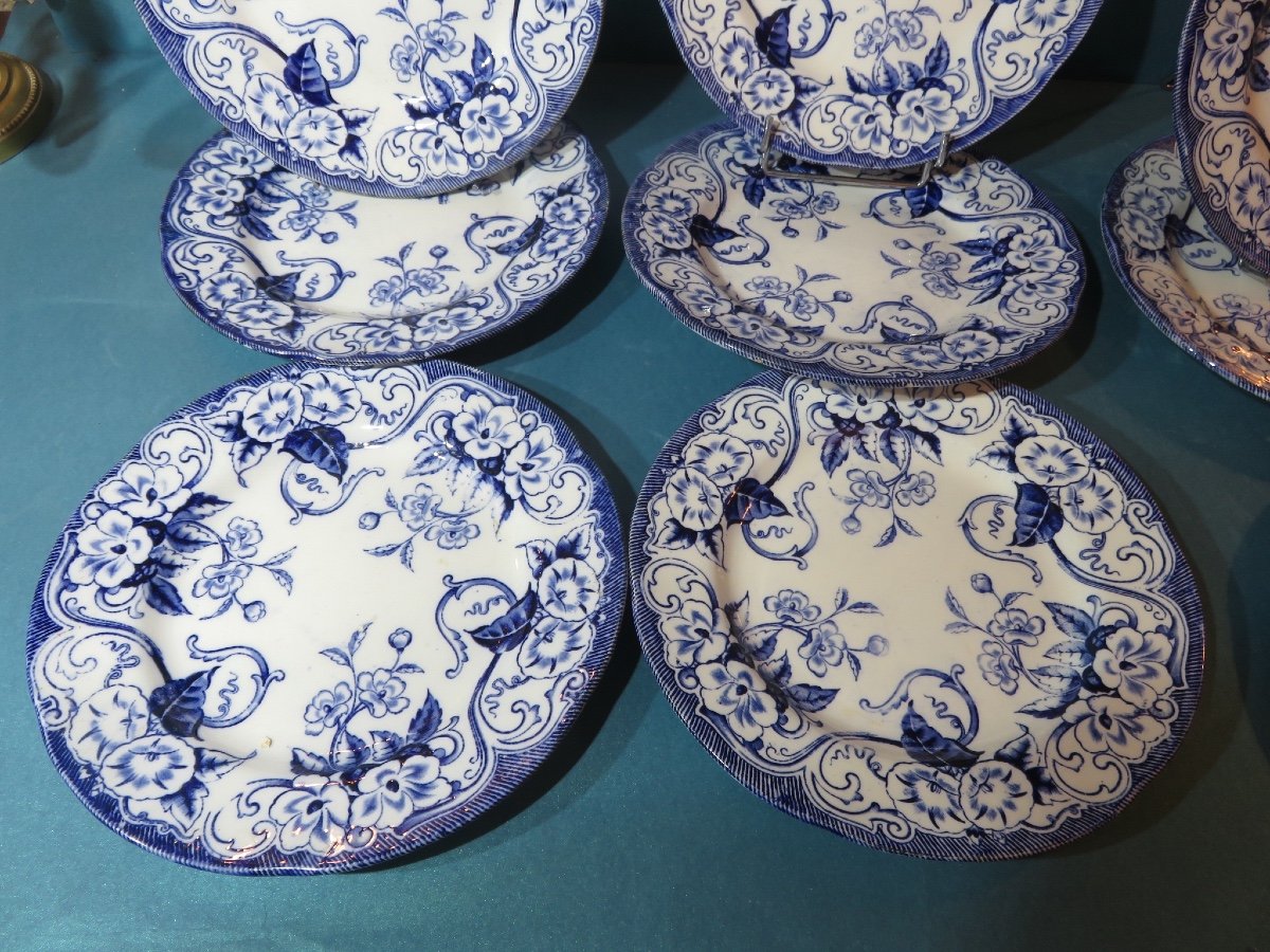 Faïence De Creil & Montereau , 10 Assiettes plates  Du Modèle " Flora " XIX ème-photo-3