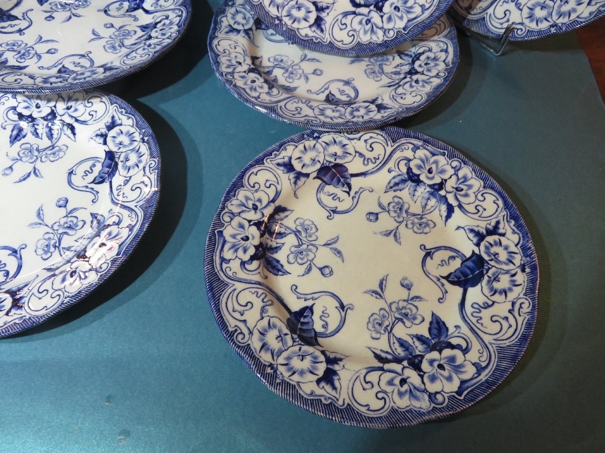 Faïence De Creil & Montereau , 10 Assiettes plates  Du Modèle " Flora " XIX ème-photo-1