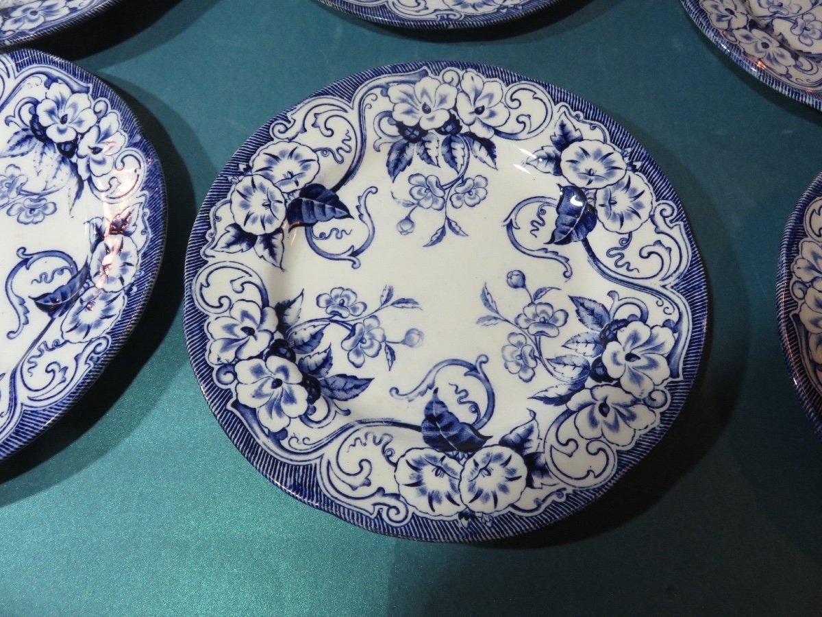 Faïence De Creil & Montereau , 10 Assiettes plates  Du Modèle " Flora " XIX ème-photo-3