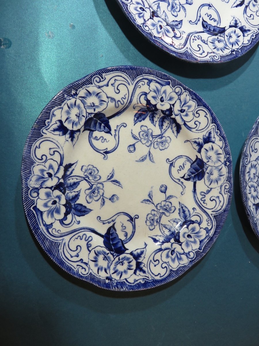 Faïence De Creil & Montereau , 10 Assiettes plates  Du Modèle " Flora " XIX ème-photo-4