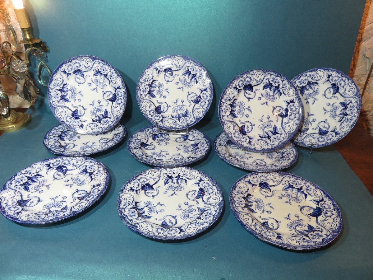 Faïence De Creil & Montereau , 10 Assiettes plates  Du Modèle " Flora " XIX ème-photo-6