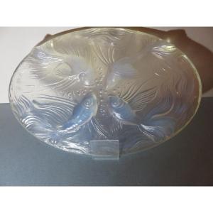 Verlys Coaster With Fish Decoration, In Opalescent Glass 