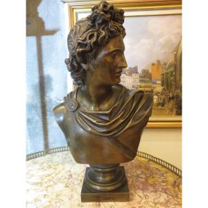 Bronze Bust "the Apollo Belvedere" Medal Patina (height 43 Cm) Late 19th Century