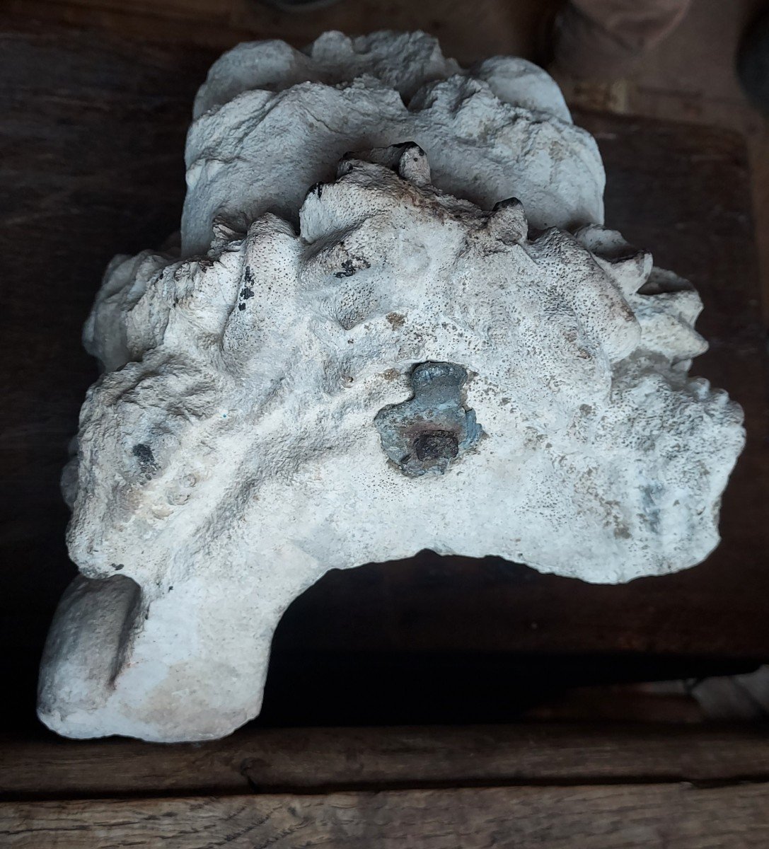 Lion's Head, Fountain, Limestone 16th Century -photo-3