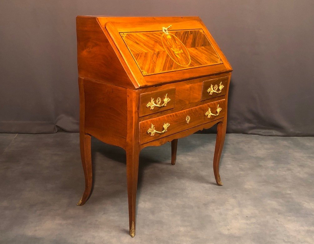 Bureau De Pente Louis XV-photo-5