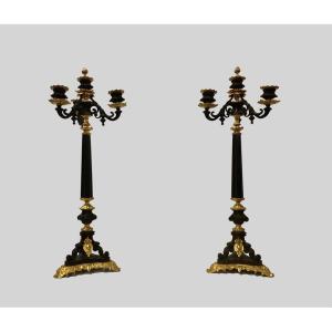 Pair Of Candelabras In Bronze With Two Patinas