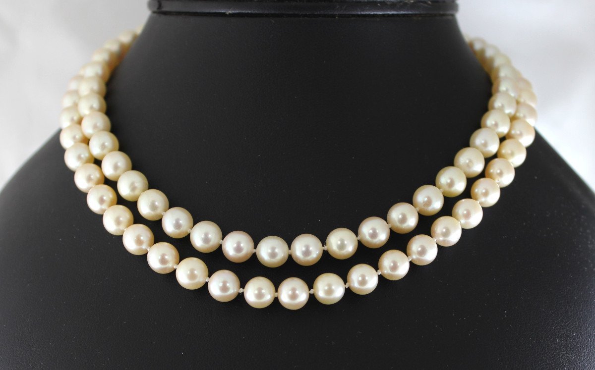 Akoya Cultured Pearl Necklace-photo-2