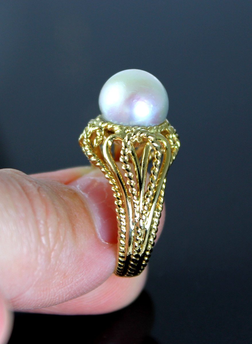 Gold Ring, Akoya Cultured Pearl-photo-1