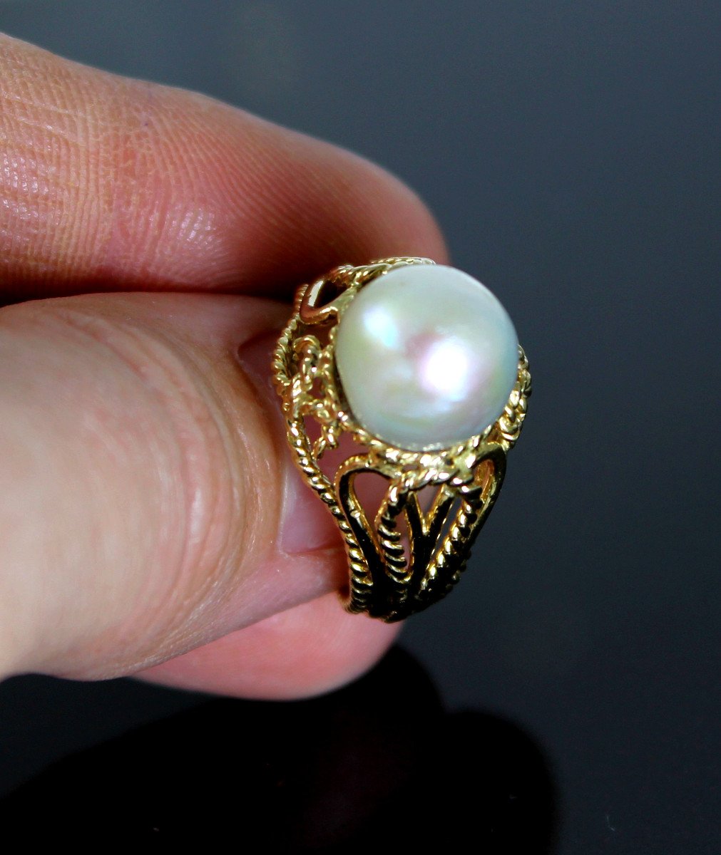 Gold Ring, Akoya Cultured Pearl-photo-2