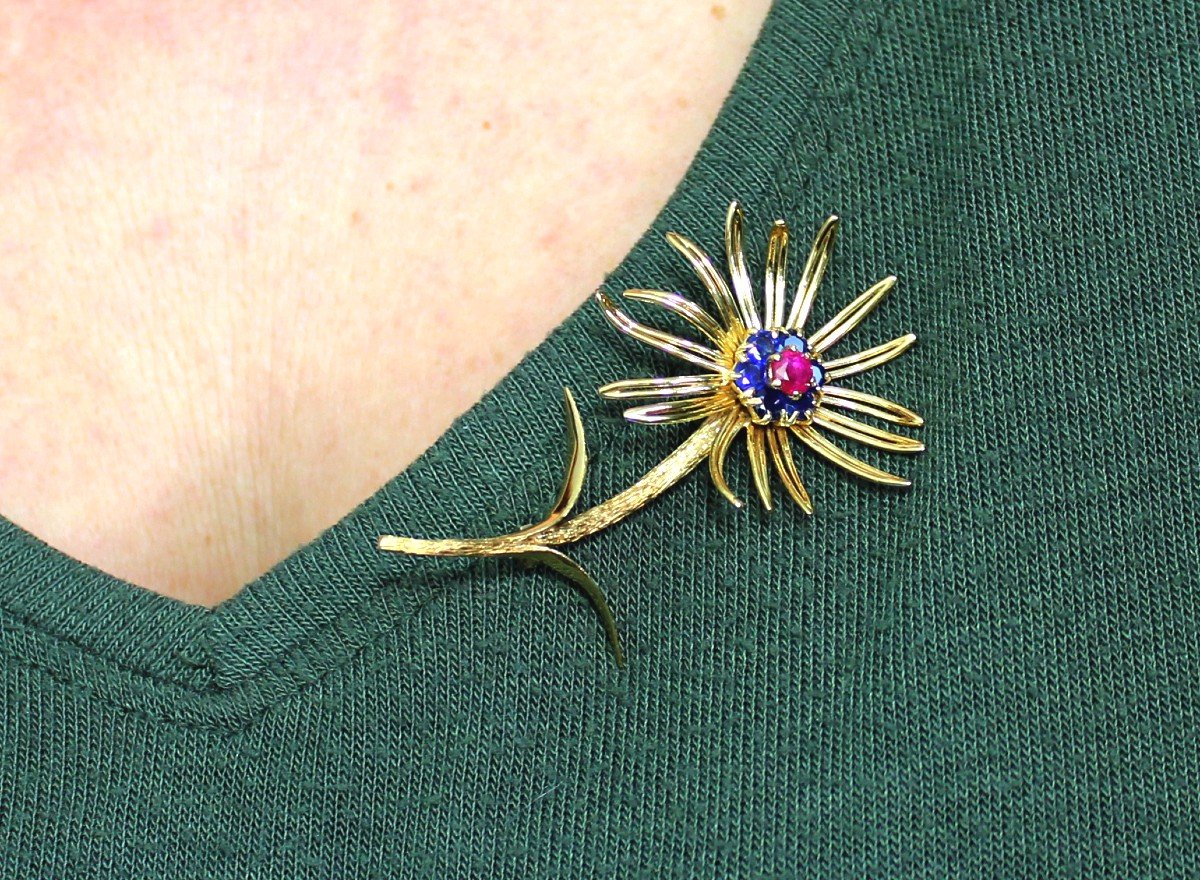 Broche Or , Saphirs Et Rubis (non Chauffé)-photo-4