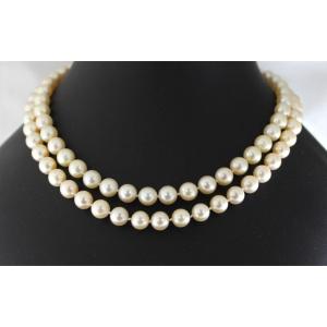 Collier Perle De Culture Akoya