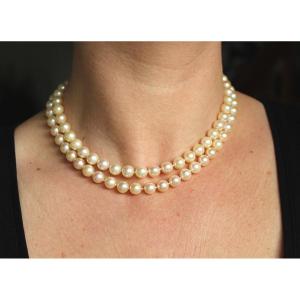 Collier  Perle De Culture Akoya