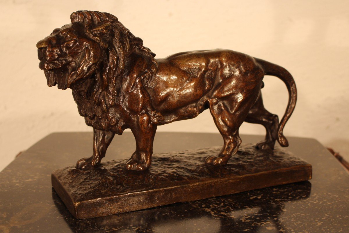  H-gaby Lion Bronze-photo-2