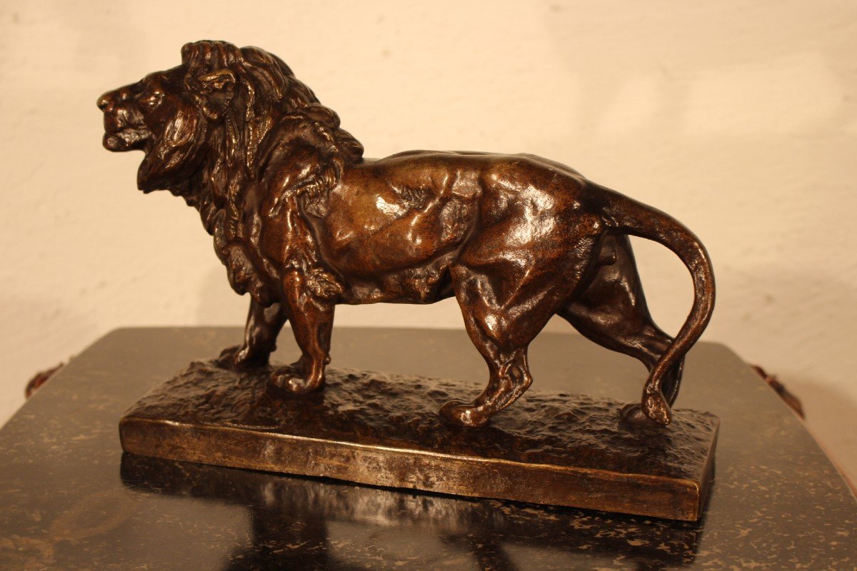  H-gaby Lion Bronze