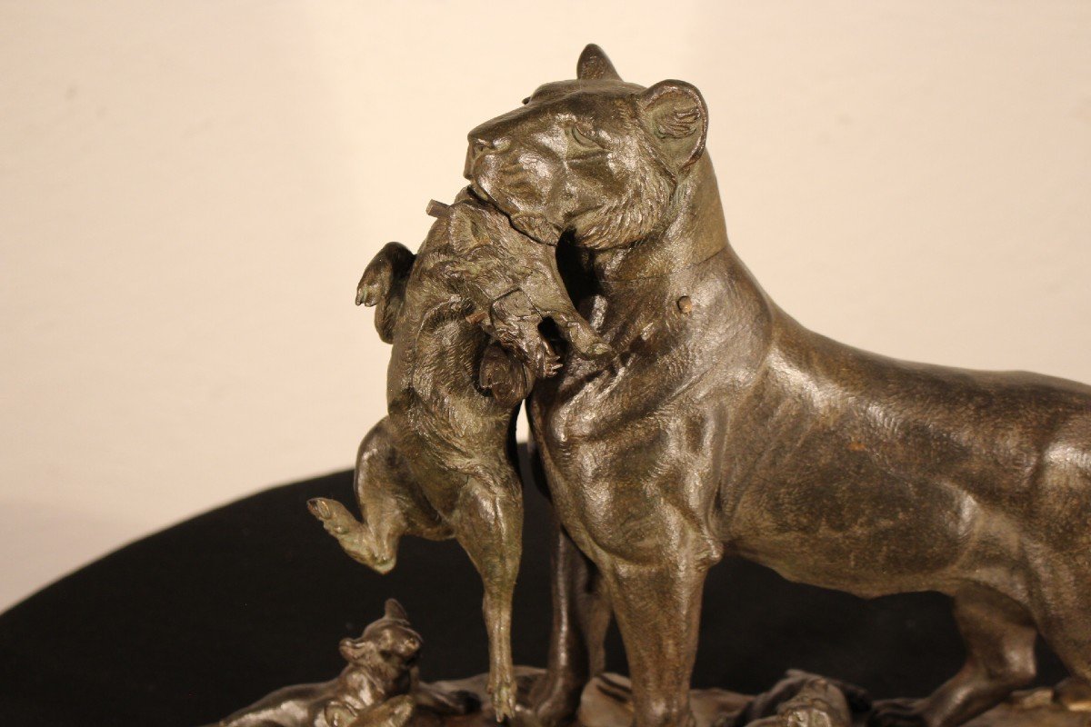 Lioness By Auguste Cain-photo-2