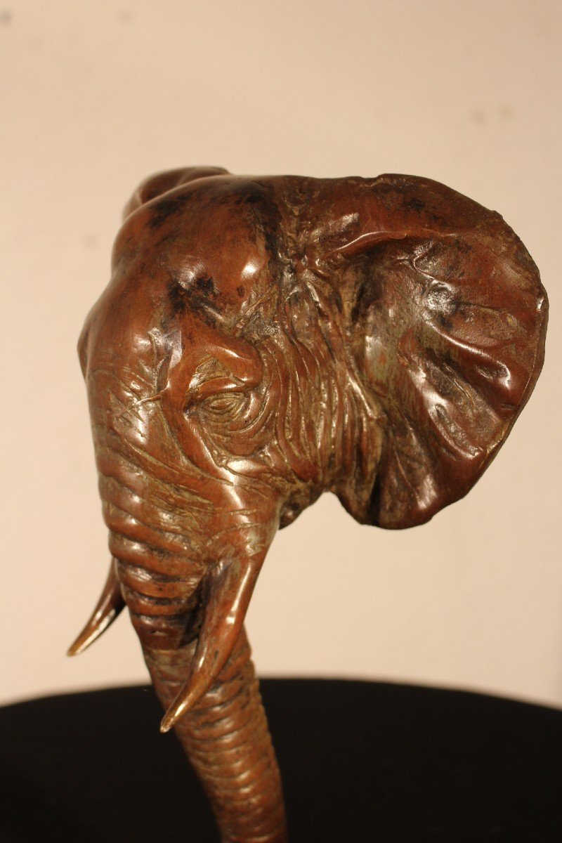  Elephant Head In Bronze-photo-2