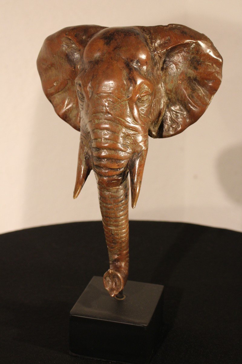  Elephant Head In Bronze