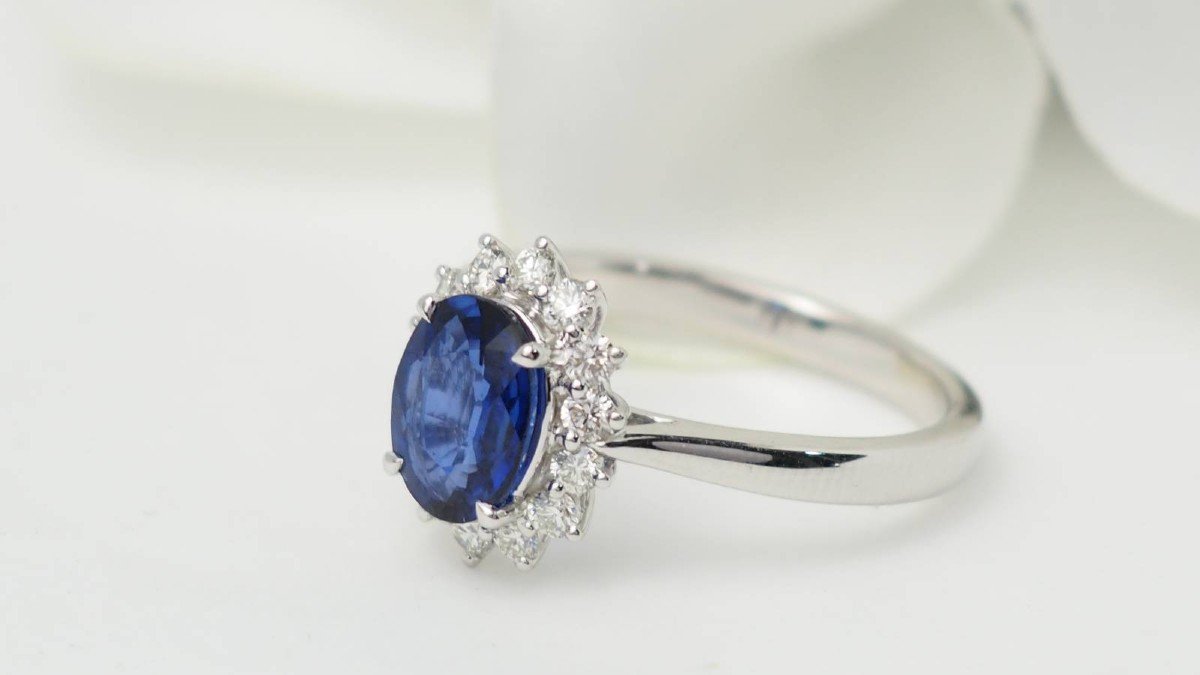 Entourage Ring In White Gold, Ceylon Sapphire And Diamonds-photo-3