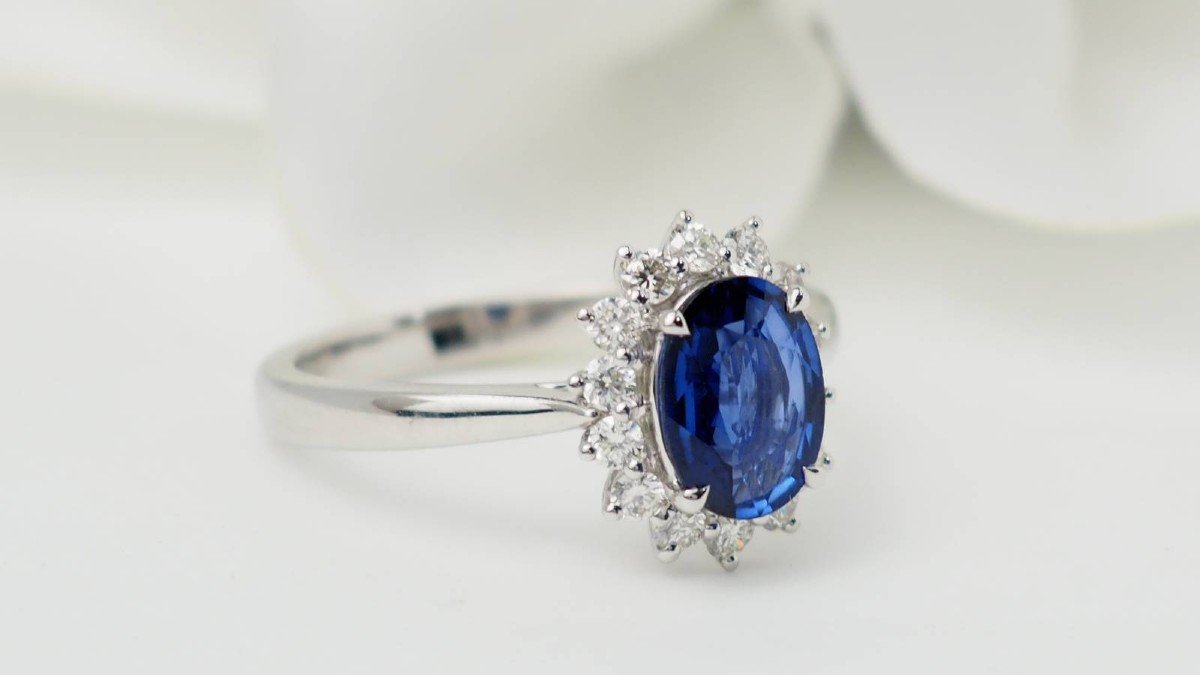 Entourage Ring In White Gold, Ceylon Sapphire And Diamonds-photo-4