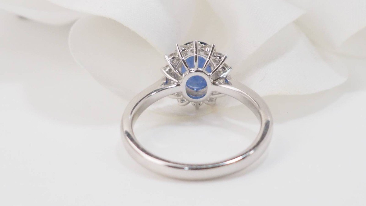 Entourage Ring In White Gold, Ceylon Sapphire And Diamonds-photo-2