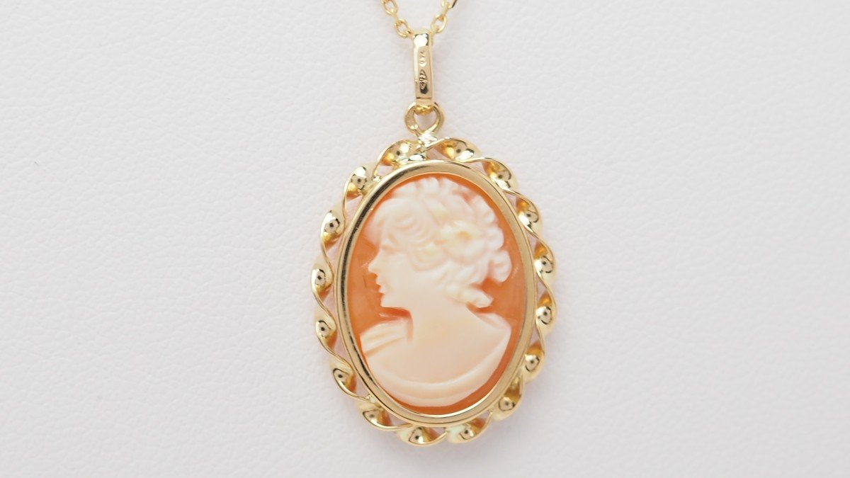 Pendentif En Or Jaune Et Camée