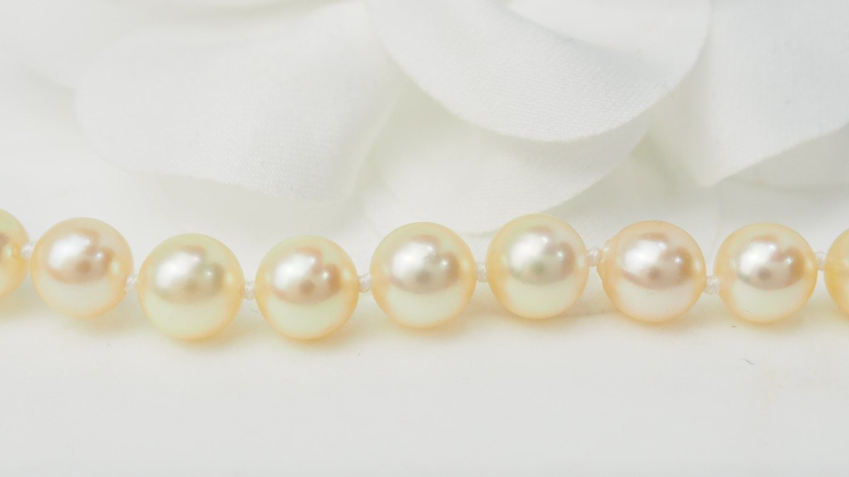 Yellow Gold And Cultured Pearl Bracelet