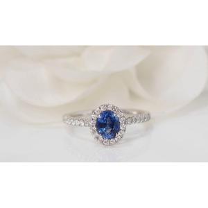 Entourage Ring In Platinum, Ceylon Sapphire And Diamonds