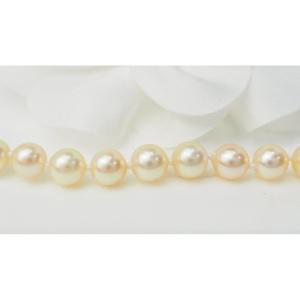 Yellow Gold And Cultured Pearl Bracelet