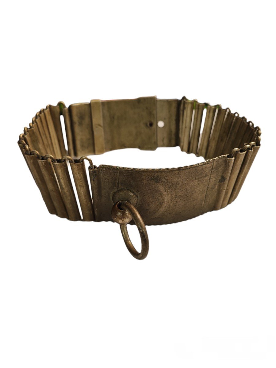 Brass Dog Collar