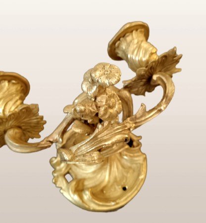 Pair Of Louis XV Style Gilded Bronze Sconces-photo-4